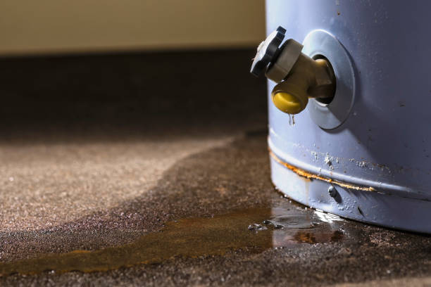 Best Emergency water damage restoration  in River Road, OR