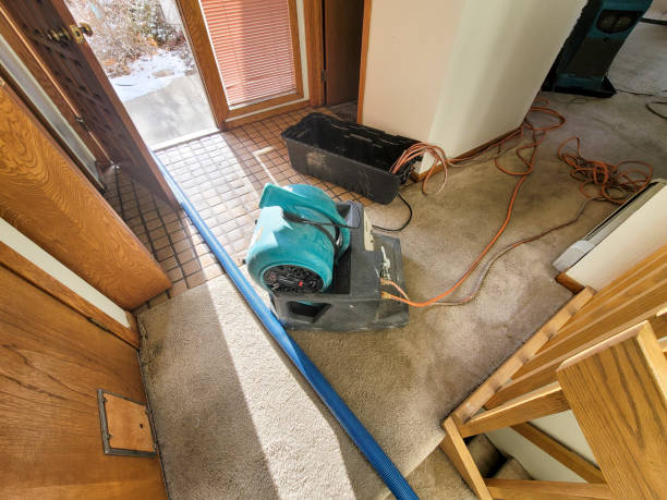 Best Water damage restoration near me  in River Road, OR