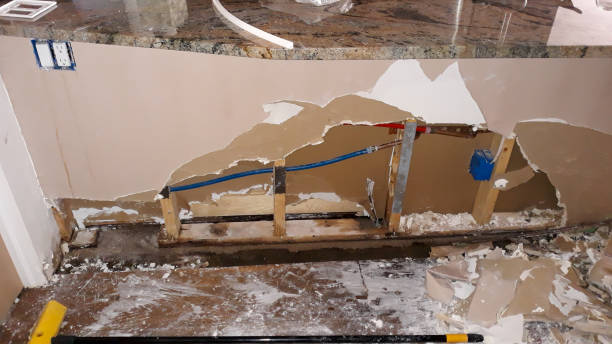 Best Mold removal after water damage  in River Road, OR