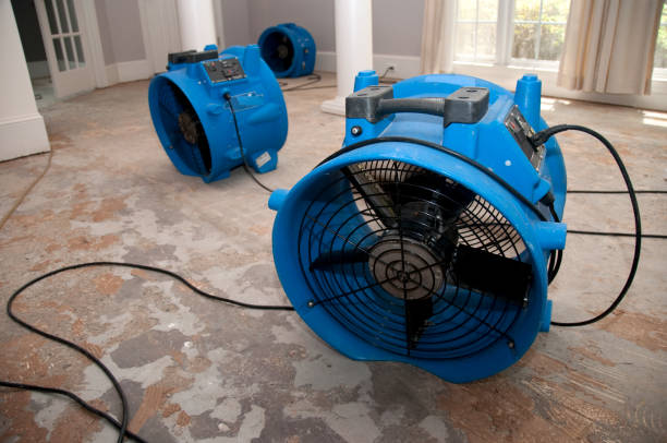 Best Mold removal after water damage  in River Road, OR