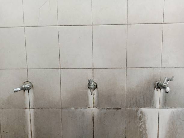 Best Water damage cleanup near me  in River Road, OR