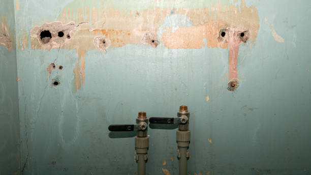 Best Sewage cleanup and water damage restoration  in River Road, OR