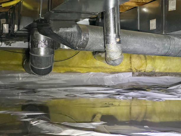 Best Flooded house restoration  in River Road, OR