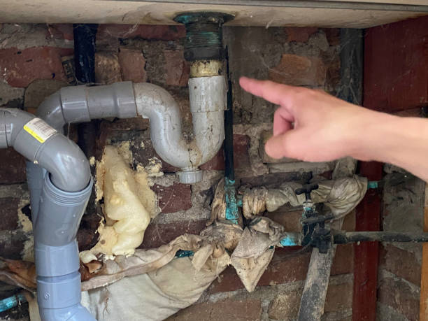 Best 24-hour water damage restoration  in River Road, OR