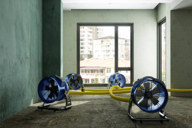 Best Fire Damage Restoration  in River Road, OR